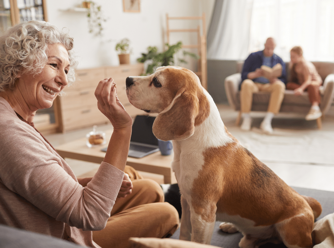 pet friendly senior living