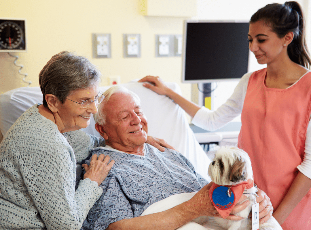 pet friendly senior living