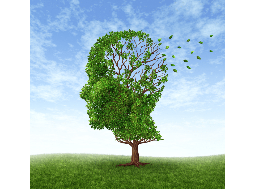 how much does memory care cost